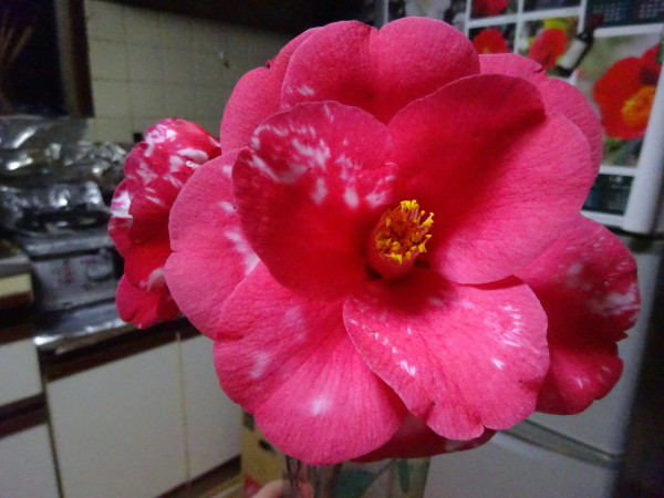 f0231709_15131788.jpg