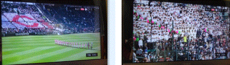 f0231709_16161549.gif