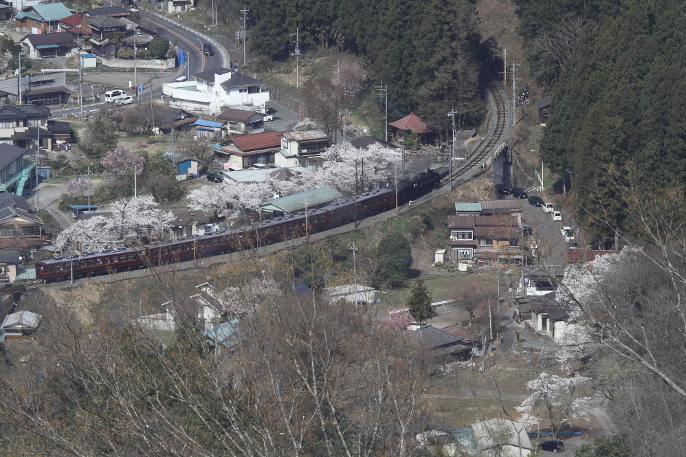 桜咲く浦山口駅 - 秩父・2018年桜 -_b0190710_21524563.jpg