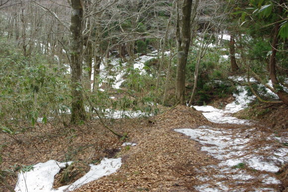 d0341514_20512351.jpg