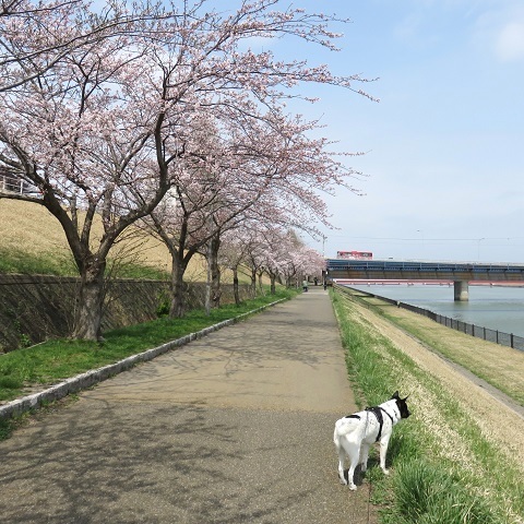 c0084117_19043997.jpg