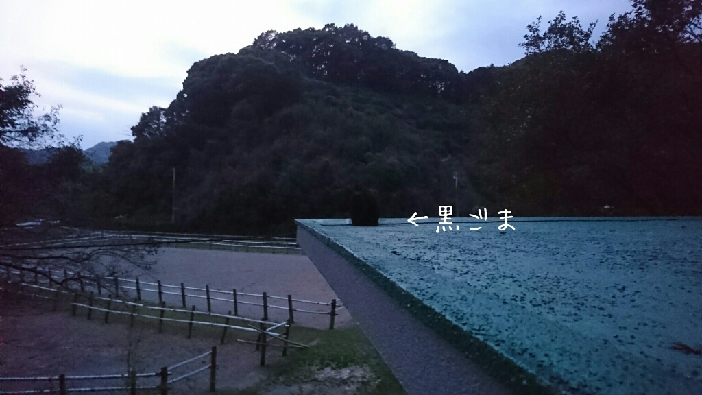 b0187620_20311420.jpg