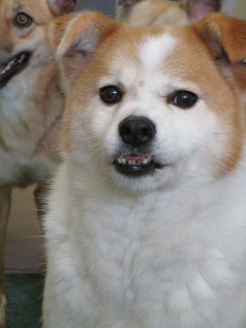f0078320_23110524.jpg