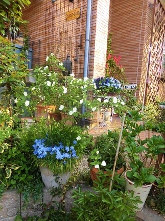c0204121_15294756.jpg