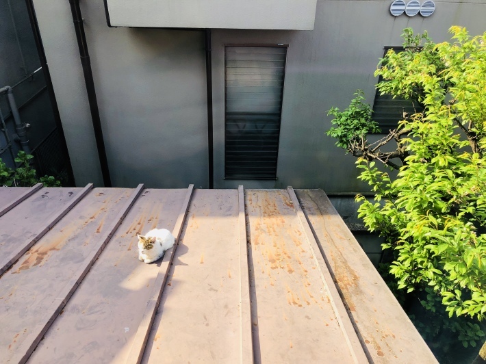 c0038722_11271122.jpeg