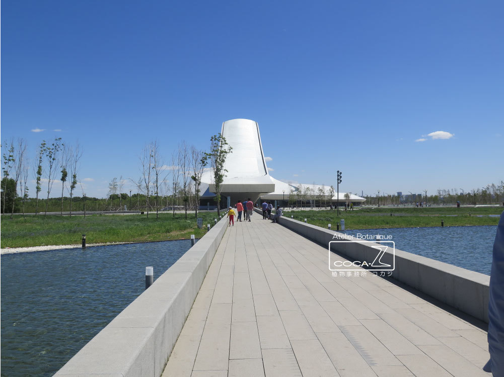 b0160123_17145510.jpg
