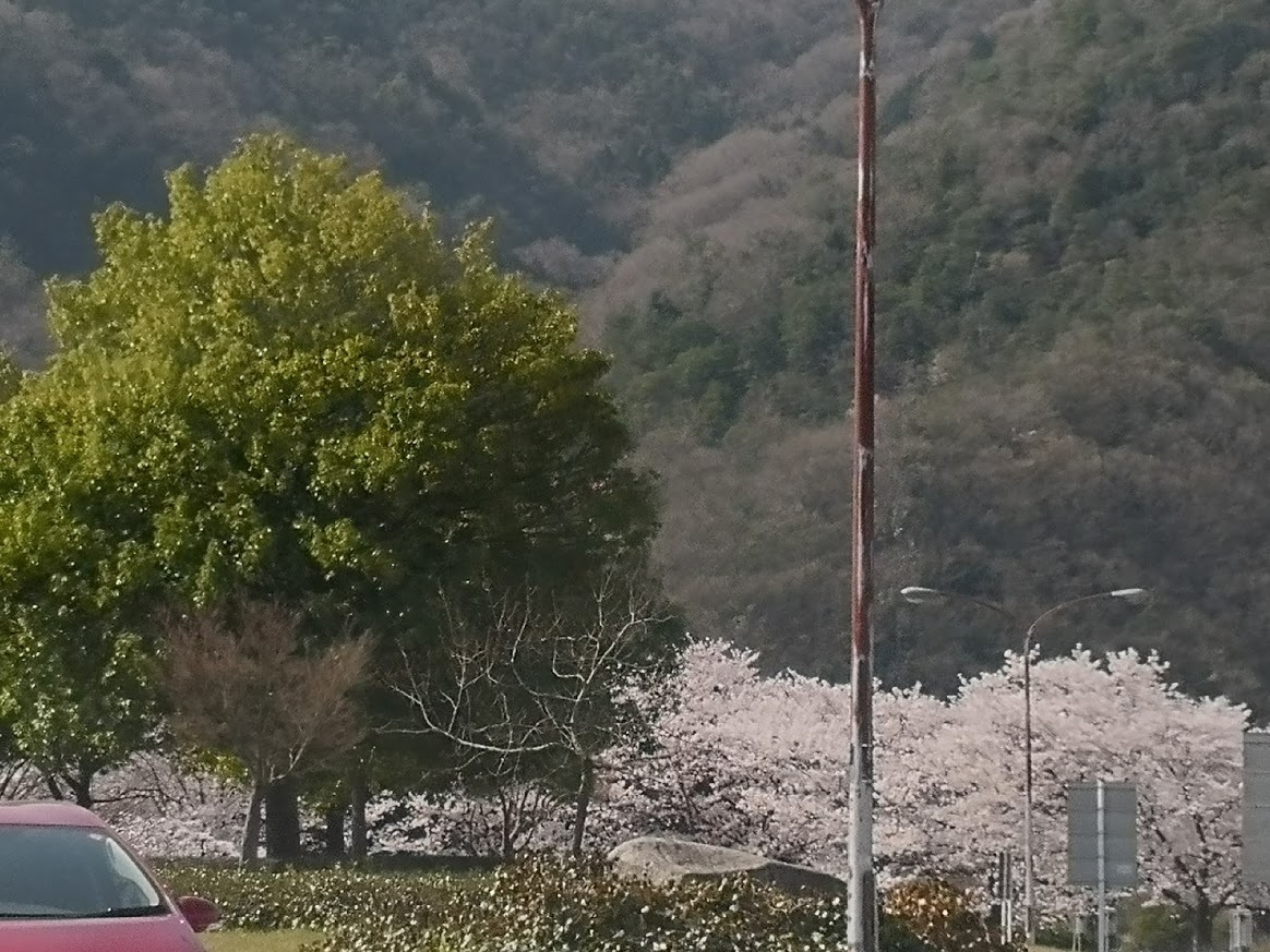 d0133625_10000406.jpg