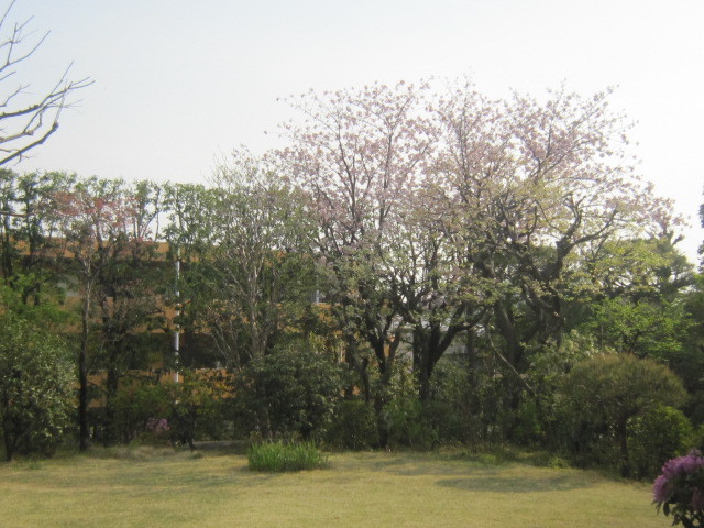 d0162225_11073215.jpg