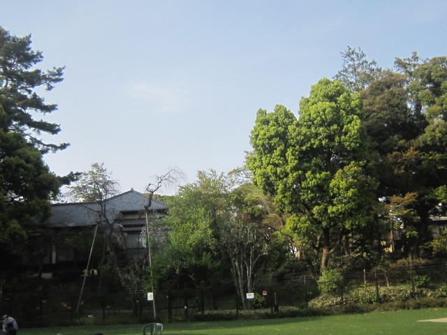 d0162225_11104348.jpg