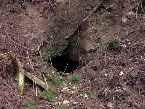 d0045626_22042851.jpg