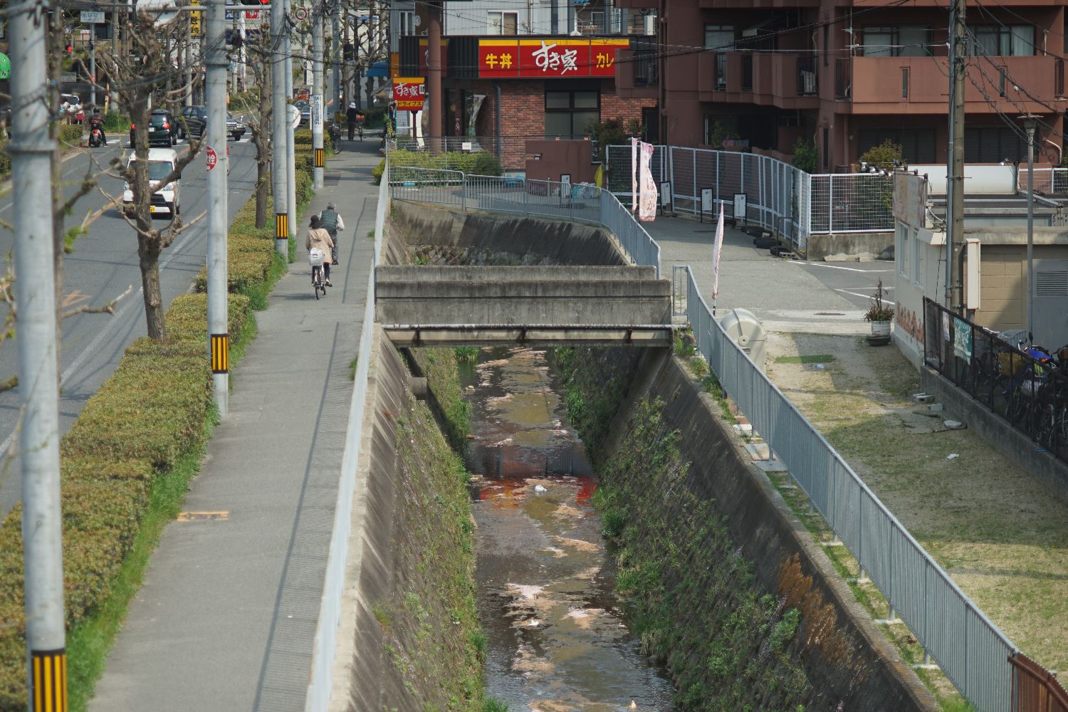 b0069128_15565998.jpg