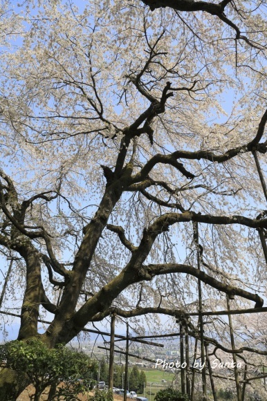 c0201929_19555233.jpg