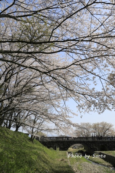 c0201929_20020447.jpg