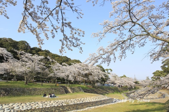 2018 さくら巡り-霞間ケ渓～養老公園-_c0201929_20101380.jpg