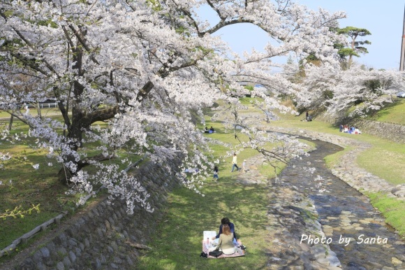 2018 さくら巡り-霞間ケ渓～養老公園-_c0201929_20101439.jpg