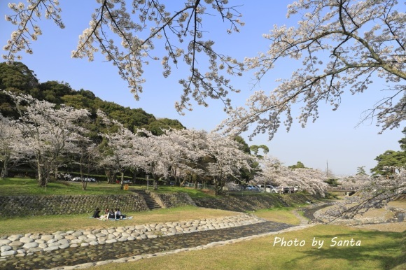 2018 さくら巡り-霞間ケ渓～養老公園-_c0201929_20101532.jpg