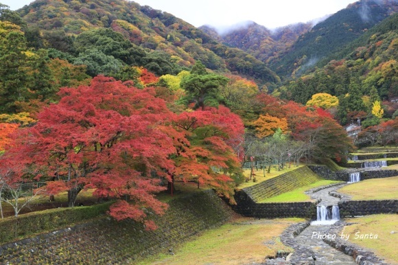 2018 さくら巡り-霞間ケ渓～養老公園-_c0201929_20132421.jpg