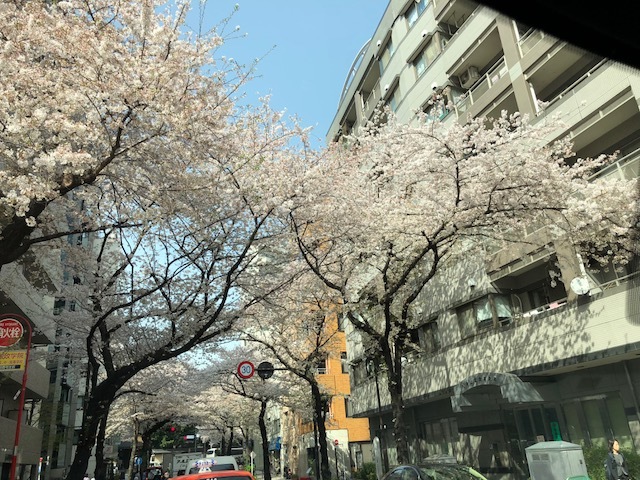 a0359239_18221855.jpg
