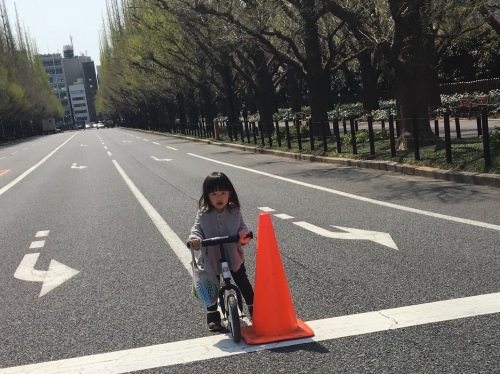 b0330040_00333027.jpeg