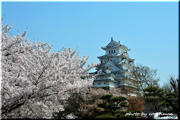 「姫路城」2 国宝・世界遺産_a0315942_22123023.jpg