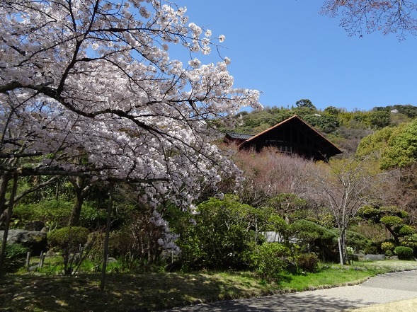 b0299042_20585378.jpg
