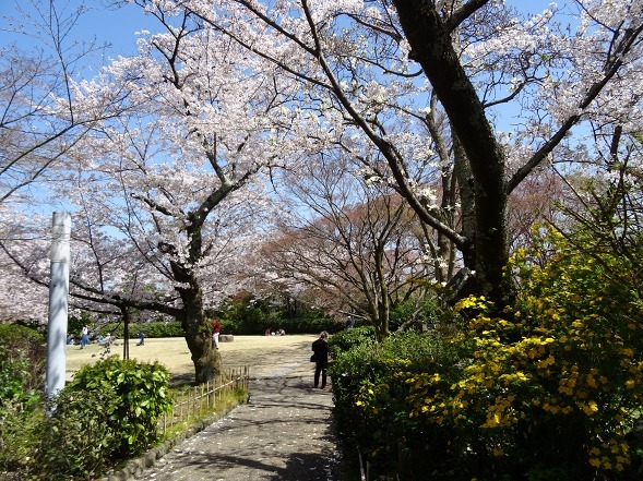 b0299042_20591697.jpg