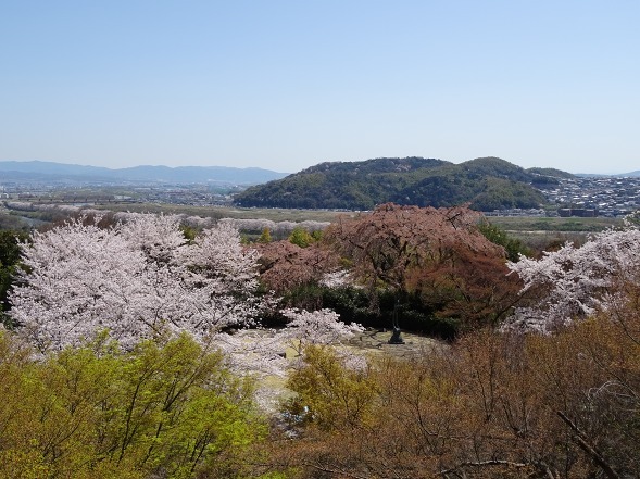 b0299042_20595584.jpg