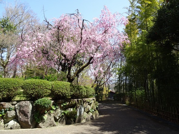 b0299042_21003878.jpg