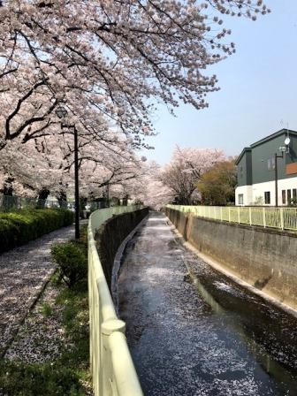 神田川、その２。一人で。_f0260146_20505068.jpg