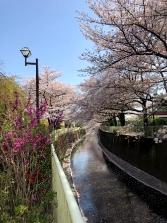 f0260146_214717.jpg