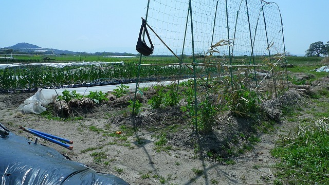 f0201348_11243189.jpg