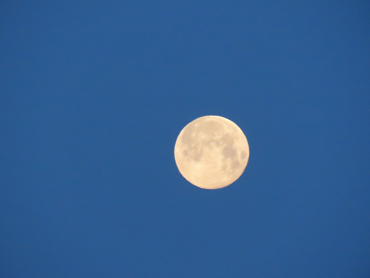 f0214649_03255889.jpg