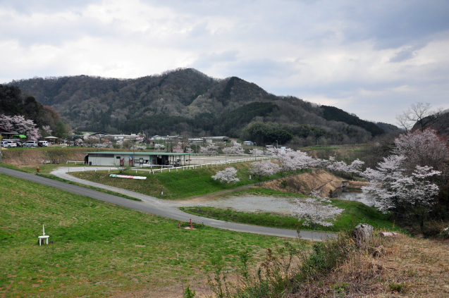 b0214652_17535037.jpg