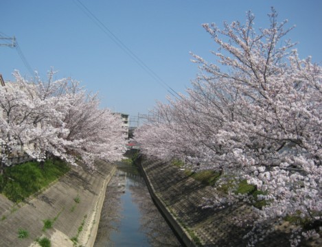 c0226353_15445279.jpg