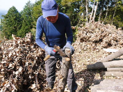 原木しいたけ　コマ打ち作業2018　多くの手間ひまと長い年月をかけ至高のしいたけを育てあげます！(後編)_a0254656_18463097.jpg