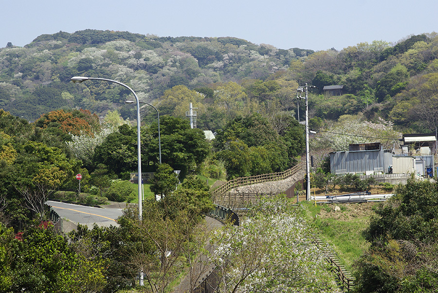 b0087456_16211994.jpg