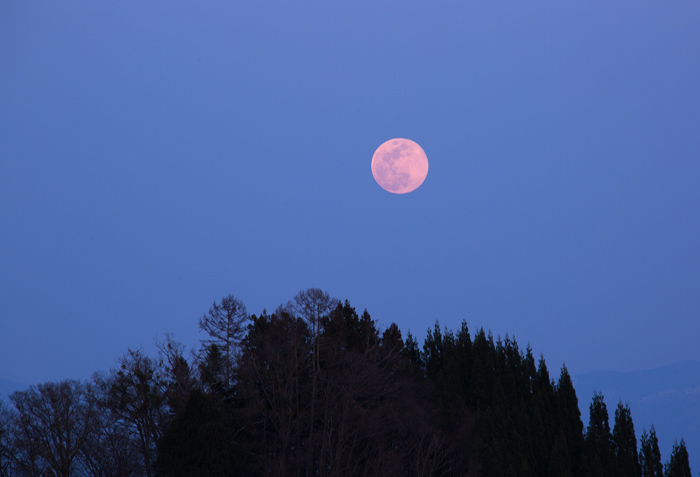 b0355457_16285450.jpg