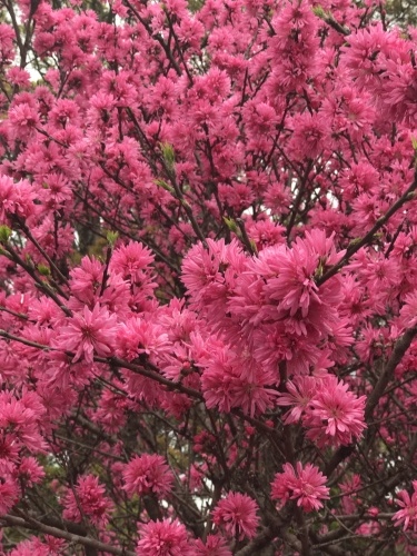 大村萱瀬 天音へ_d0237757_22241512.jpeg