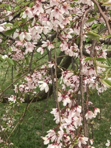 大村萱瀬 天音へ_d0237757_22251048.jpeg