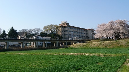 a0208560_11000417.jpg
