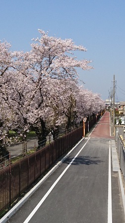 a0208560_11002470.jpg