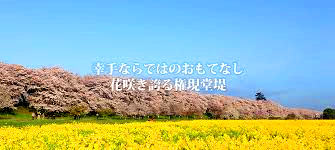 c0119160_20512149.png