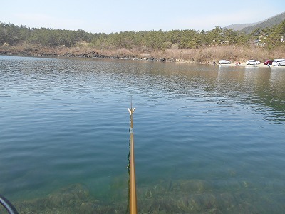 18年4月3日西湖 バクバク ヘラブナ釣行記