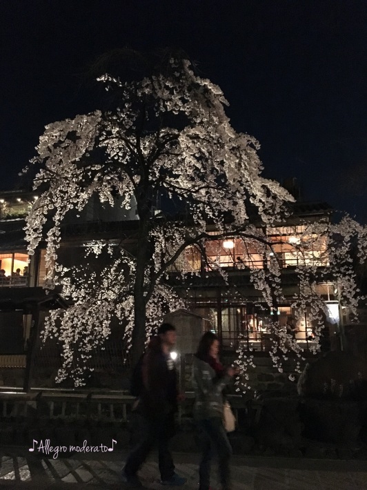 d0240961_15312460.jpeg