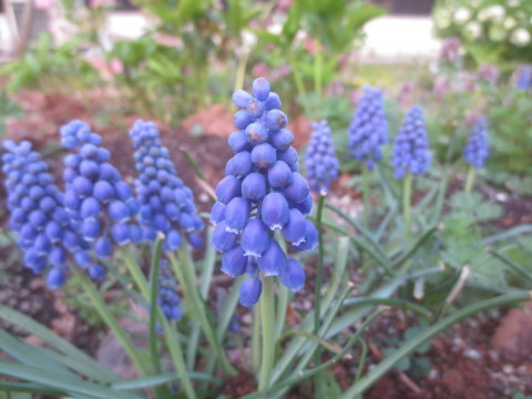 c0223463_09172499.jpg