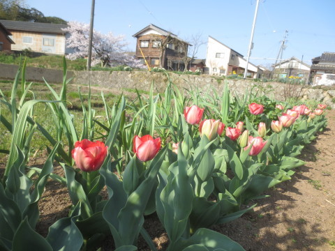 c0223463_09271336.jpg