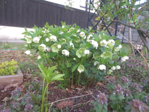 c0223463_09273594.jpg