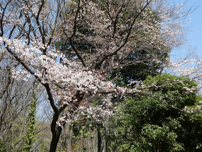 f0233763_21123462.jpg