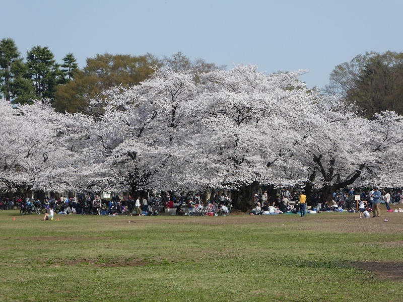f0233763_21202736.jpg