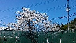 f0395164_23145529.jpg